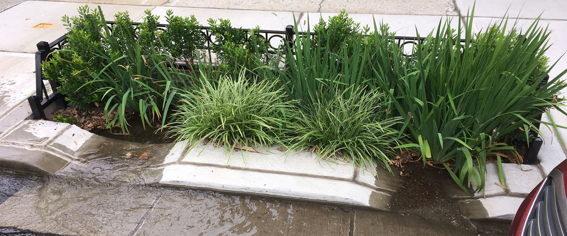 16028-2_Green Infrastructure_06