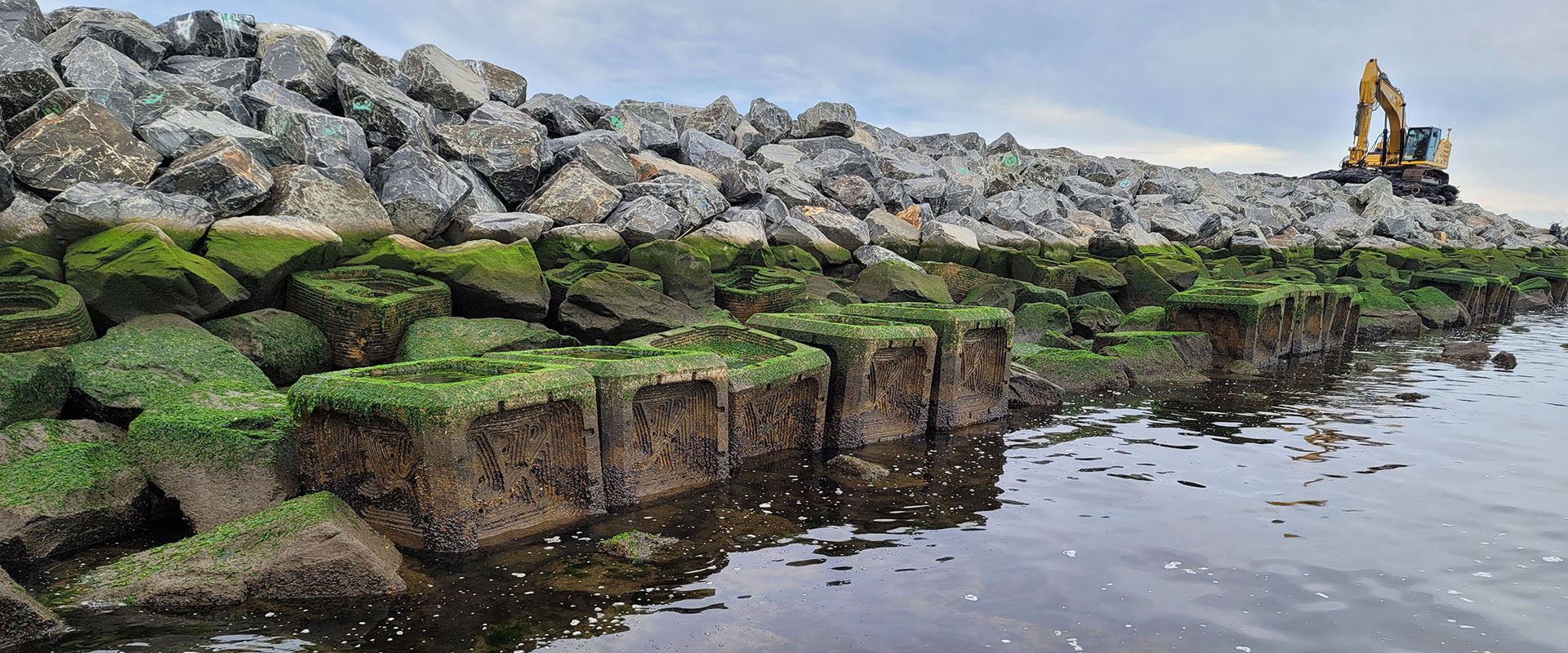 18051_Living Breakwaters_07