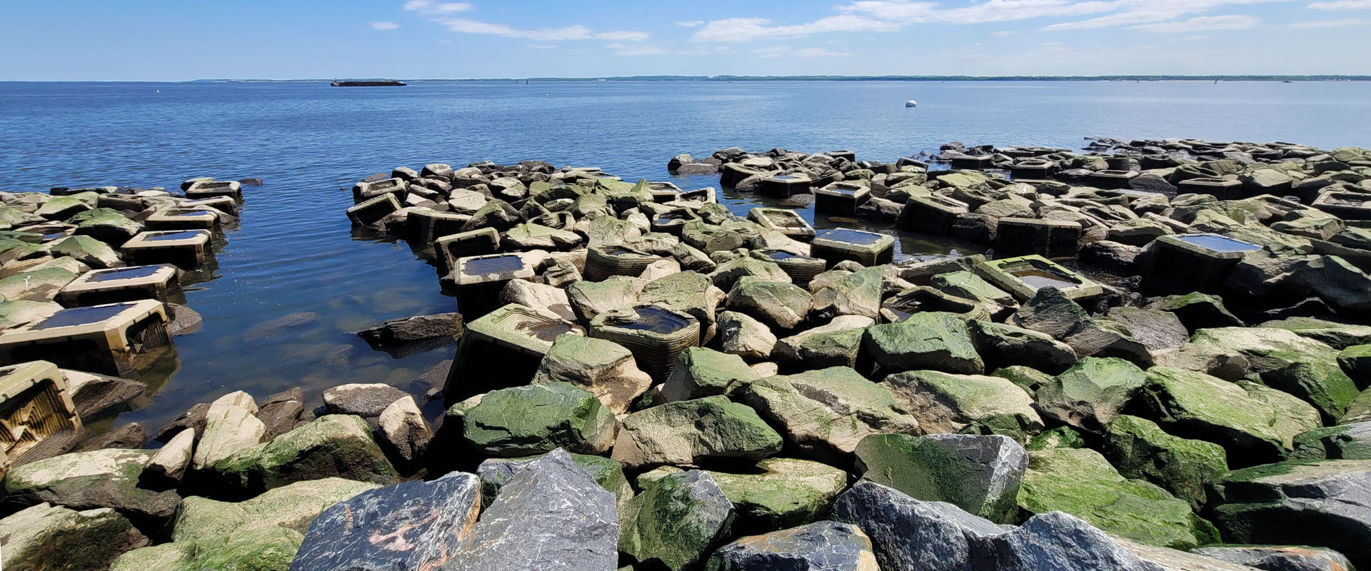 18051_Living Breakwaters_13